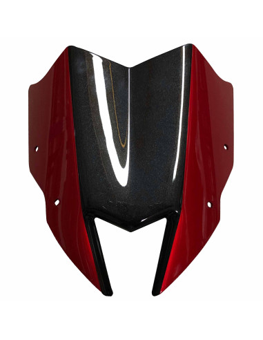 Tete de fourche Ermax pour Z 900 2017-2019 