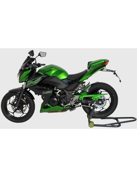 garde boue arrière Ermax pour Z 300 2015/2016 