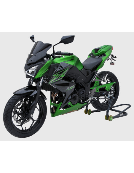 Garde boue arrière Ermax pour Z 300 2015/2016 