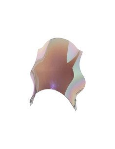 Pare-brise Track 4234 - Honda CB600F HORNET 2003-2004 