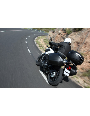 VALISES SH36 CARBON SHAD