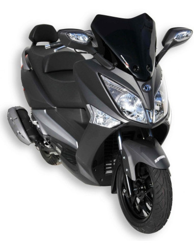 Pare brise hyper sport Ermax pour GTS...