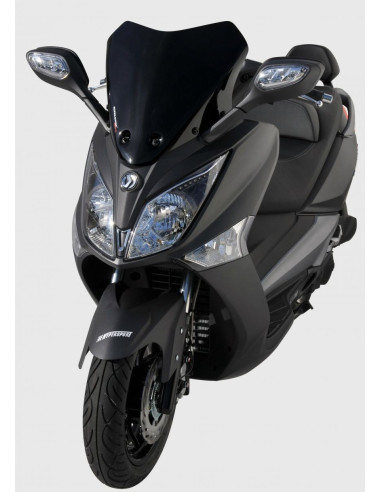 Pare brise hyper sport Ermax pour GTS...