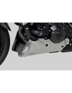 Sabot moteur Ermax pour XSR...