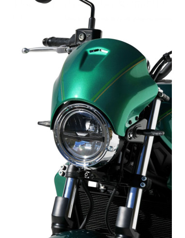 Tête de fourche Ermax pour Z 650 RS...