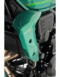 Ecopes Ermax pour Z 650 RS... 2