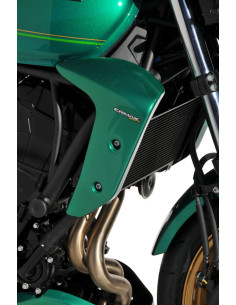 Ecopes Ermax pour Z 650 RS...