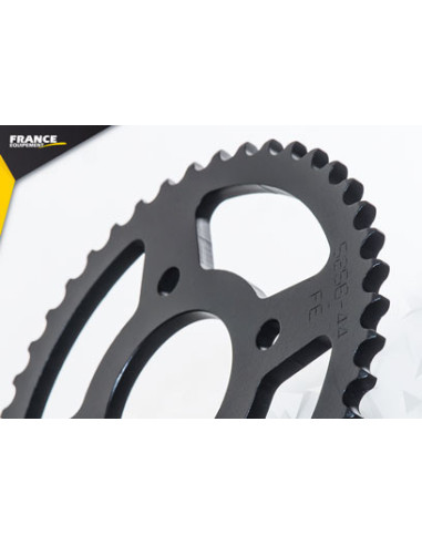 REGAL RAPTOR.125.RAXTER '06 14X44 428H µ