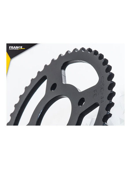 REGAL RAPTOR.125.RAXTER '06 14X44 RK428MXZ µ