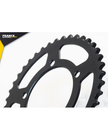 1100.TUONO V4RR/ V4 FACTORY '15/19 15X42 RK525FEX µ