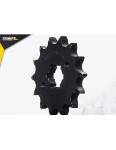 125.FLAT TRACK '21 14X64 RK428MXZ 2