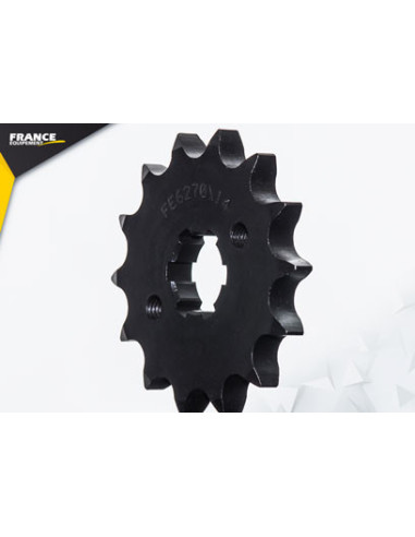 125.FLAT TRACK '18/20 14X61 428H µ