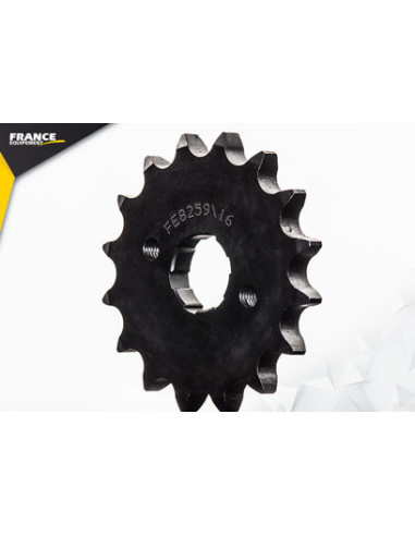 125.INN/RACE INN '09 16X42 RK428MXZ