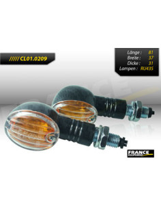 Paire de clignotants, ampoule halogène.