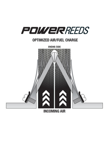 Clapets BOYESEN Power Reeds - 616