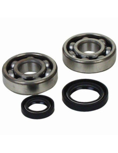 Kit roulements et joints spi de vilebrequin PROX - Beta RR Enduro 4T