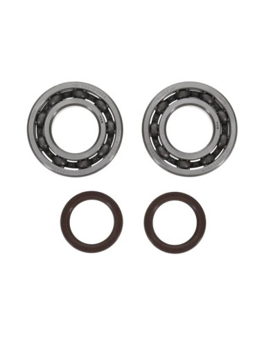 Kit roulements et joints spi de vilebrequin PROX - Beta RR Enduro 2T