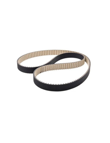 Courroie de distribution DAYON High Tenacity