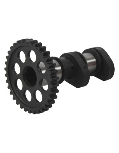 Arbre à cames admission HOT CAMS - Niveau 2