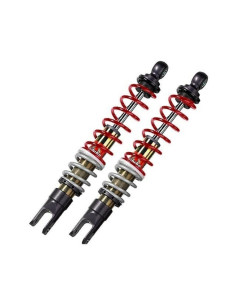 Bi-amortisseur arrière BITUBO YGB01