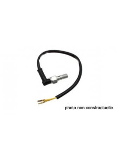 Vis contacteur banjo simple M10x100