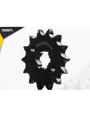 125.DAYSTAR FI '13/14 14X45 RK428FEX *