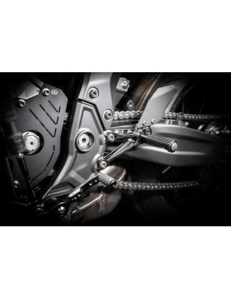 Commandes reculées ajustables GILLES FXR