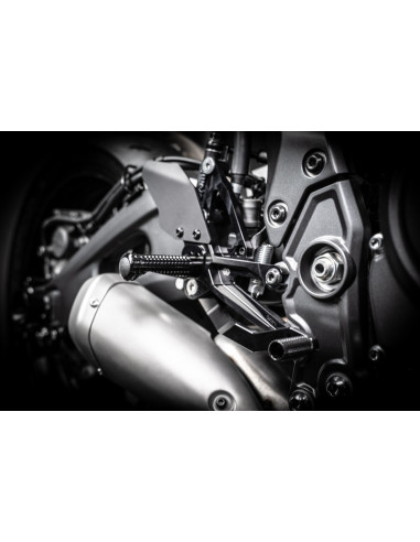 Commandes reculées ajustables GILLES FXR