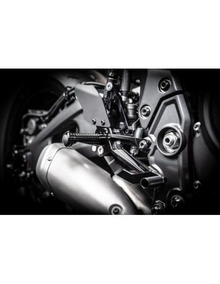 Commandes reculées ajustables GILLES FXR