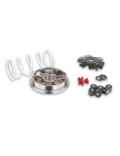 Variateur Malossi standard