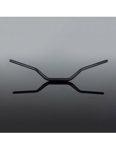 Guidon RENTHAL Street Fatbar 848