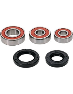 Kit roulements de roue ALL BALLS 2