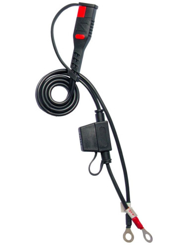 Chargeur de batterie intelligent BS BATTERY BS15