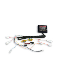 Boîtier électronique MALOSSI Force Master 2