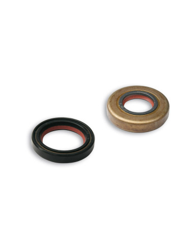 Jeu de joints spis MALOSSI FKM/PTFE - vilebrequin Minarelli-Yamaha 50cc Moto