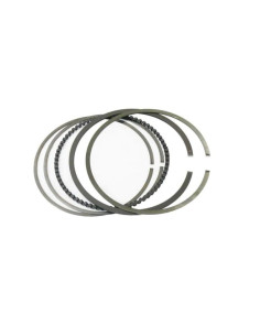 Segment WÖSSNER Ø96,00mm 2