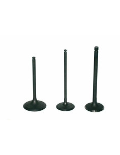 Soupape d'échappement PROX titane 2