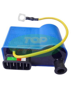 Boitier CDI TOP PERFORMANCES Vespa 2