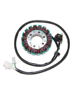 Stator ELECTROSPORT 2