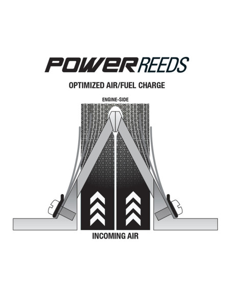 Clapets de rechange BOYESEN Power Reeds