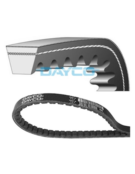 Courroie de transmission DAYCO standard