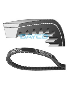 Courroie de transmission DAYCO standard 2