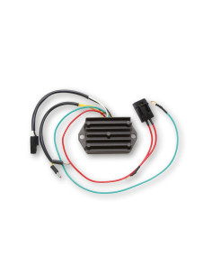 ELECTROSPORT Regulator ESR 510 2