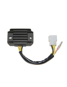 ELECTROSPORT Regulator ESR 600 2