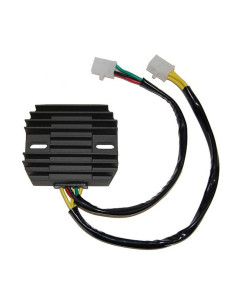 ELECTROSPORT Regulator ESR 160 2