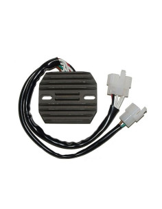 ELECTROSPORT Regulator ESR 350