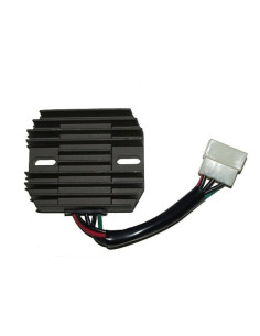 ELECTROSPORT Regulator ESR 550 2