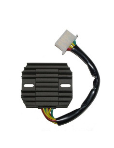 ELECTROSPORT Regulator ESR 290 2