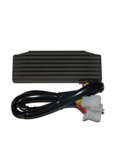 ELECTROSPORT Regulator ESR750 Suzuki VS 1400, 87-95