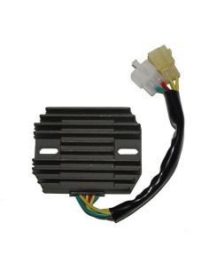 ELECTROSPORT Regulator ESR537 2